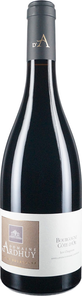 2020 Bourgogne Côte d'Or Pinot Noir Les Chagniots trocken