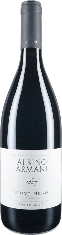 Flasche Trentino Pinot Nero Santa Lucia trocken